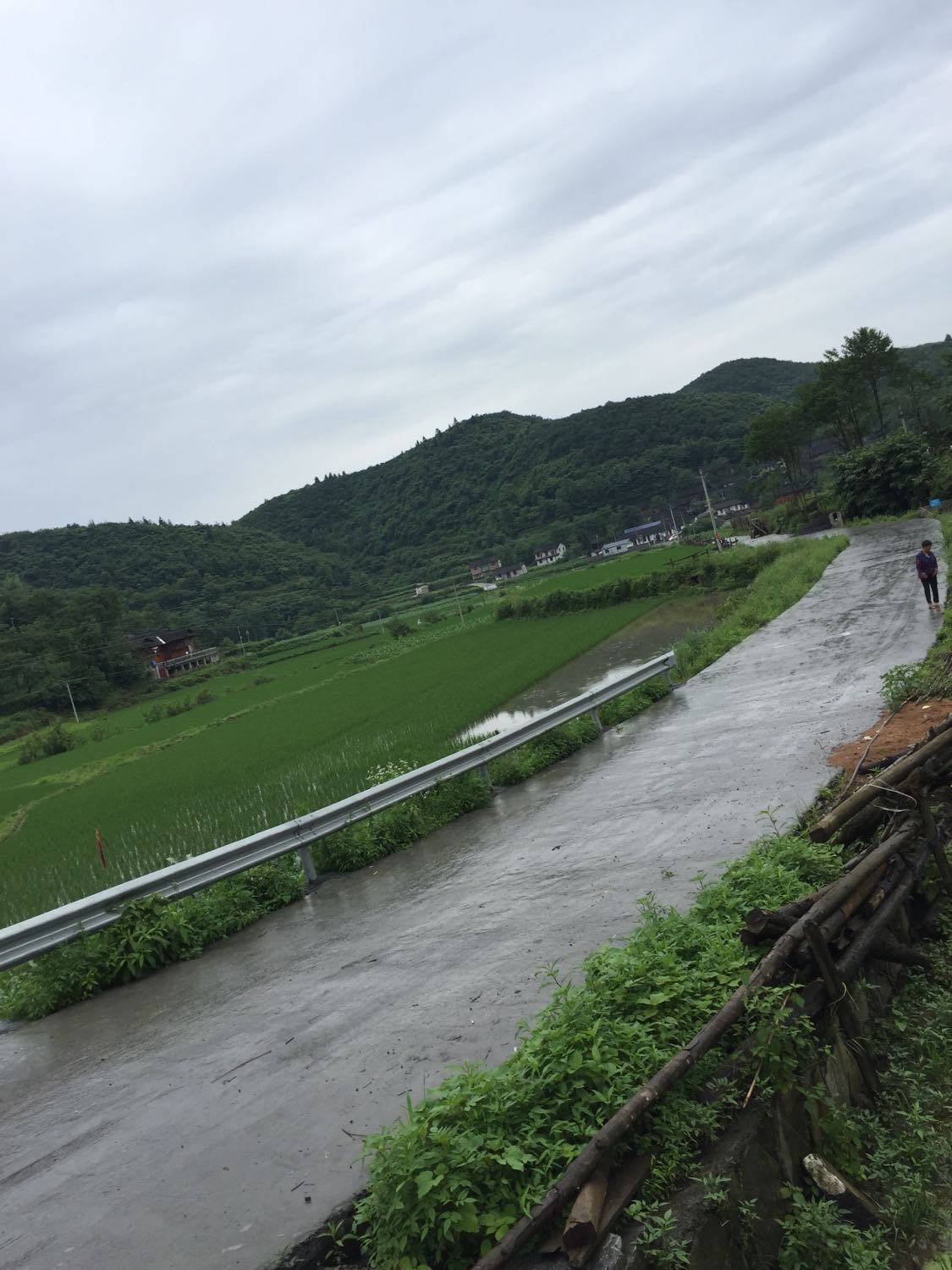 童市镇天气预报更新通知